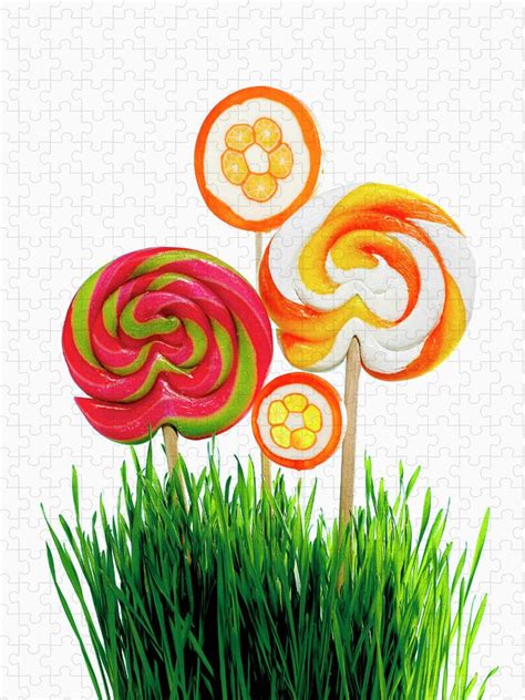 Lollipops And Wheat Grass Jigsaw Puzzle By Brian Hagiwara