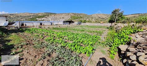 AYAŞ BAYRAM MH DE HAZIR KURULU DÜZEN KÜÇÜKBAŞ HAYVAN ÇİFTLİĞİ