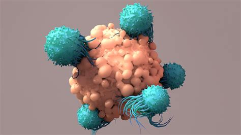 Photo Libre De Droit De Les Tcells Luttent Contre Le Cancer