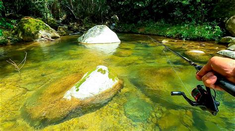 PESCA en este riachuelo INFESTADO de sabaletas señuelo RAPALA