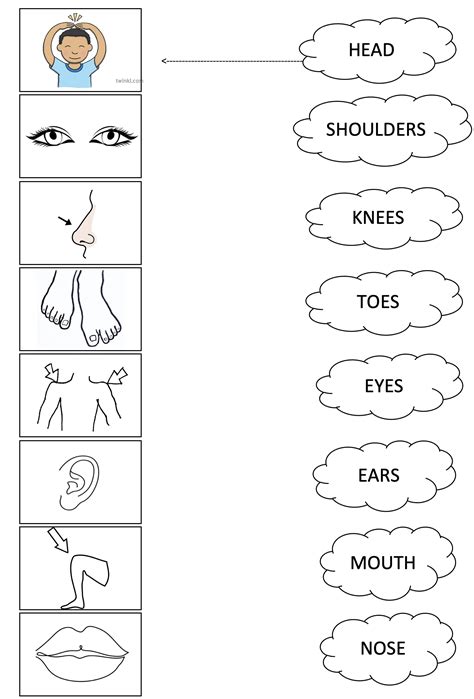 Head Shoulders Knees And Toes In Mandarin 10