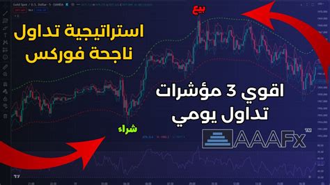 احسن استراتيجية تداول الفوريكس والذهب 🔥 للربح من التداول 2023 للمبتدئين