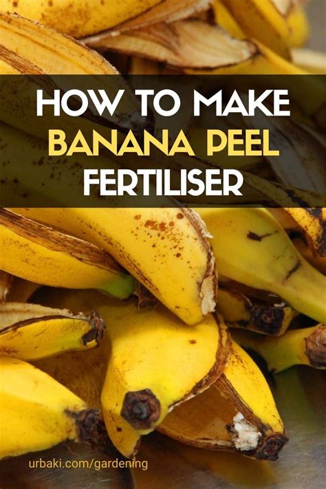 How To Make Banana Peel Fertiliser Artofit