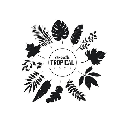 Premium Vector Tropical Silhouette Leaves