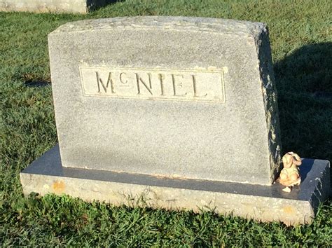 Lawton Lee McNiel (1900-1900) - Find a Grave Memorial