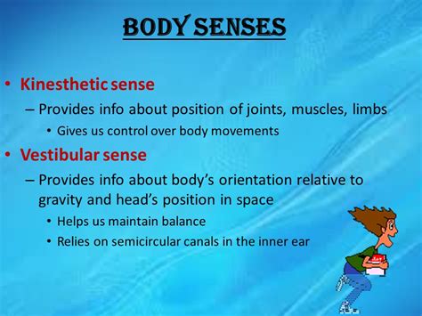 Vestibular Sense Psychology