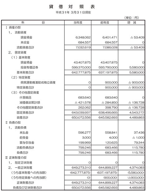 財務諸表平成30年度 公益社団法人青少年育成広島県民会議