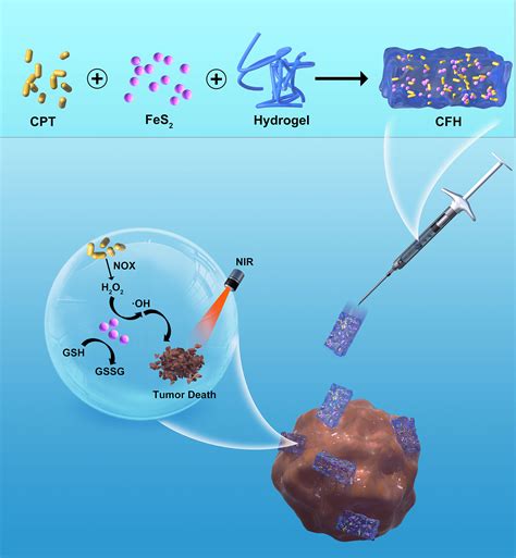 Frontiers Injectable Hydrogel System For Camptothecin Initiated