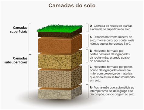 O que é perfil do solo e como construir AGROADVANCE