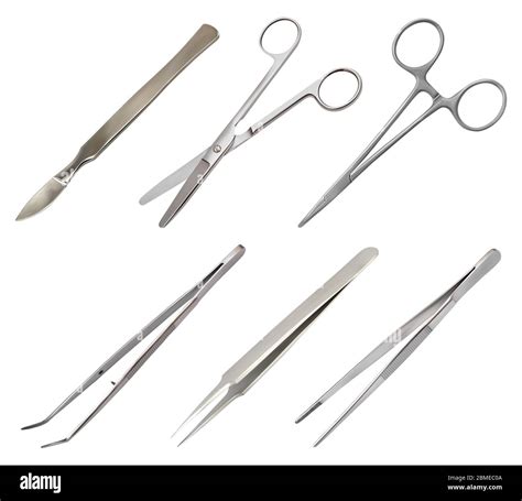 A Set Of Surgical Instruments Different Types Of Tweezers All Metal