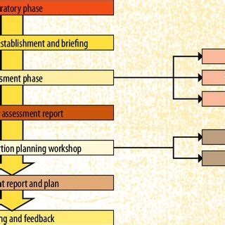 stages   assessment process  scientific diagram