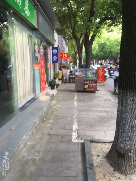 投诉第一楼街龙虾馆占道经营 京口区人民政府 辖市（区） 梦溪论坛 镇江时事招聘求职社区房产装修美食摄影 汽车摄影运动女性征婚