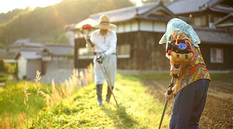 地方創生の目的と重要性とは？ 公民共創で加速する国と地方の未来 Lifull Stories