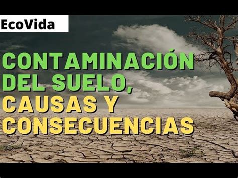 Contaminación Del Suelo Causas Consecuencias Y Soluciones Eco360