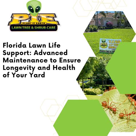 Florida Lawn Life Support Advanced Yard Maintenance Plant It Earth