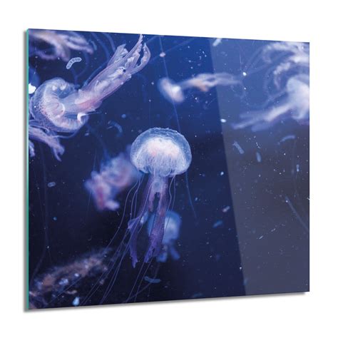 Artprintcave Meduzy Morze Ocean Obraz Szklany Cienny X Cm