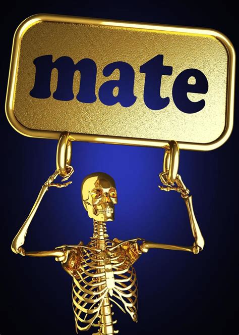 mate word and golden skeleton 6353843 Stock Photo at Vecteezy