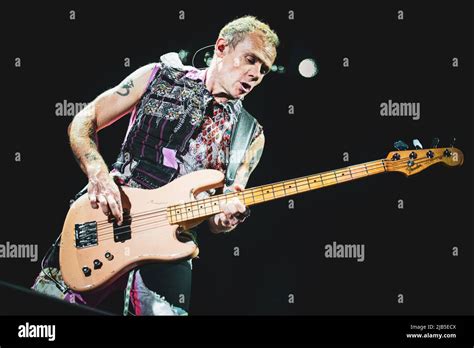 Zurich Hallenstadion October Th Flea Bassist Of The American Funk Rock Band Red Hot