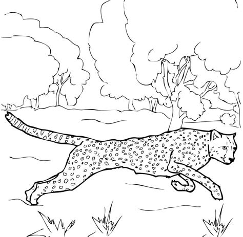 Coloriage Gu Pard Qui Court T L Charger Et Imprimer Gratuit Sur