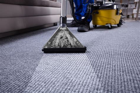 Commercial Carpet Cleaning: Why Vacuuming Isn't Enough