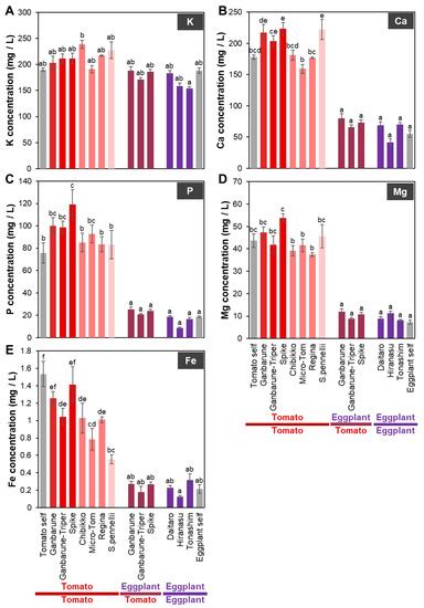 Plants Free Full Text Plant Hormone And Inorganic Ion