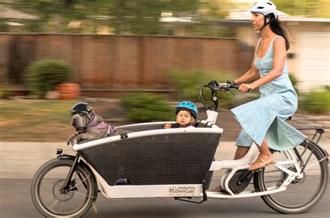 Cargo Bikes: The Happiest Transportation Mode on Earth | Stanford Transportation