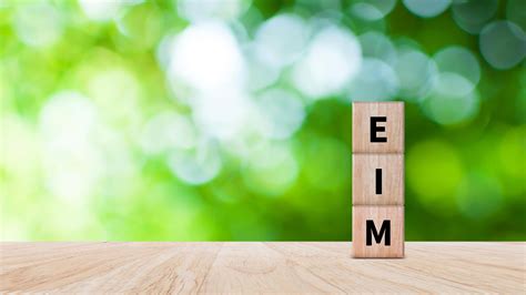 Making Enterprise Information Management Eim Work For Business A Guide To Understanding Information As An Asset 5