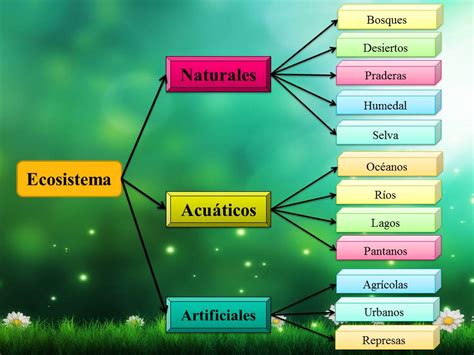 Ecosistema ~ Biopsicosalud