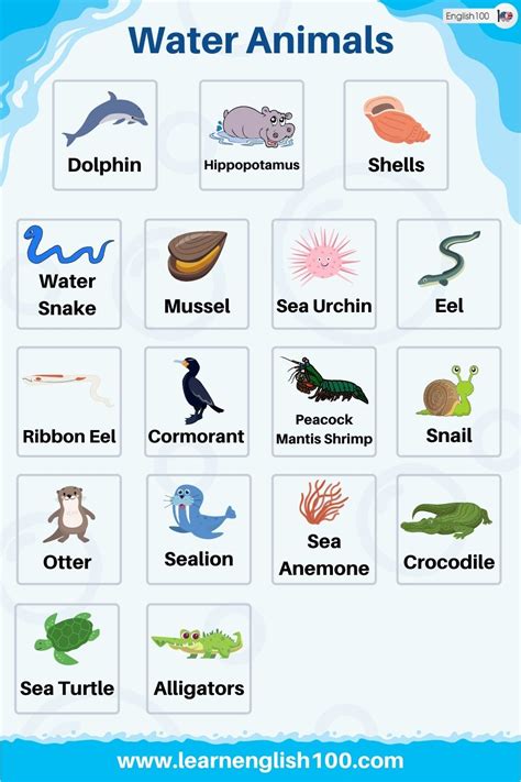 Water Animals - English 100