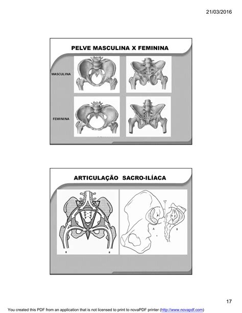 Biomecanica E Cinesiologia Da Coluna Vertebral PDF