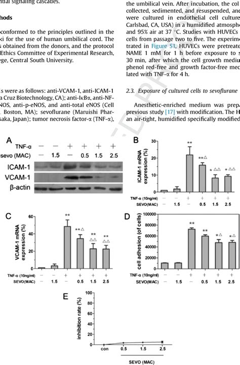 Sevoflurane Inhibited Tnf A Induced Expression Of Icam Vcam And