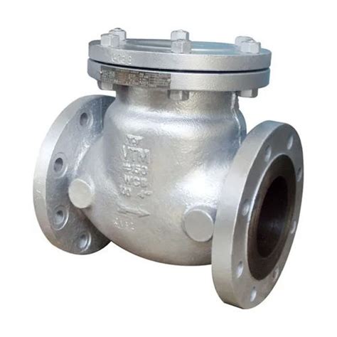 Va Cast Steel Swing Check Valve Application Industrial At Best