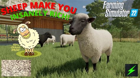 Sheep Make Insane Money Fs Sheep Tutorial Youtube