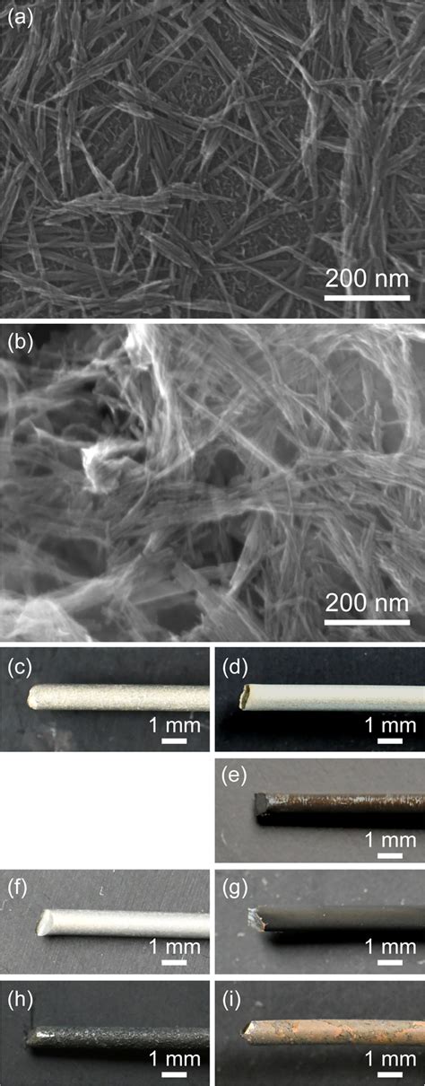 Surface Structures And Appearances Of The Catalyst Coated Electrodes