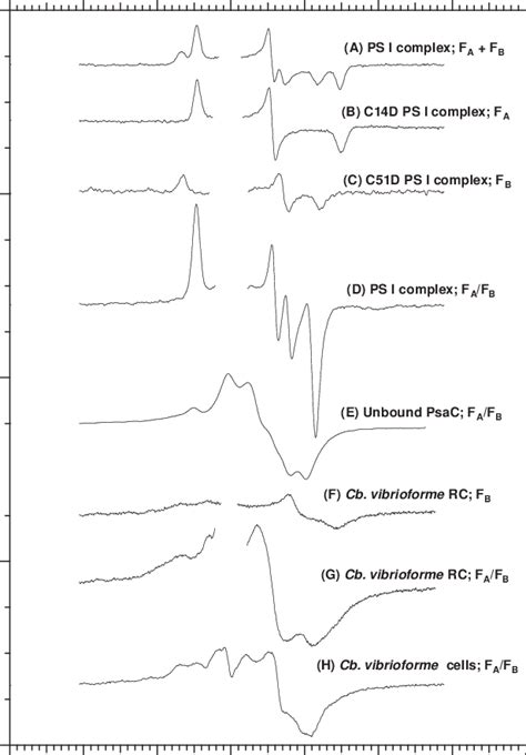 X Band Epr Spectra Of Fe S Clusters F A And F B In Various Samples