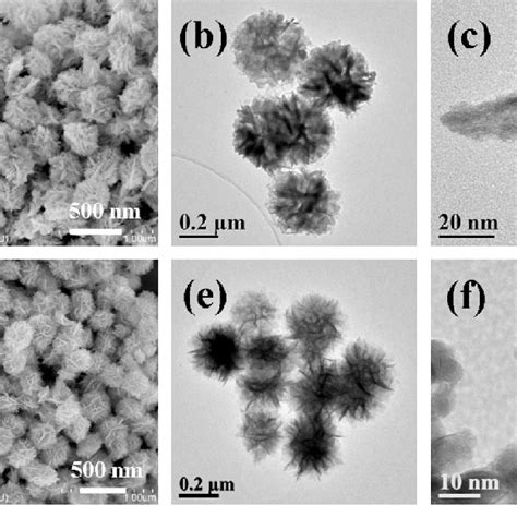 SEM And TEM Images Of BiOCl A C SC4 And BiOBr D F SB4