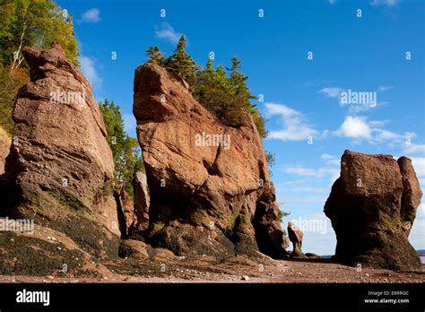 Hopewell Rocks The Rocks Provincial Park Hopewell Cape New