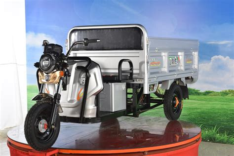 Heavy Loading Tricycle 48V 800W Electric Cargo Tricycle Best Price