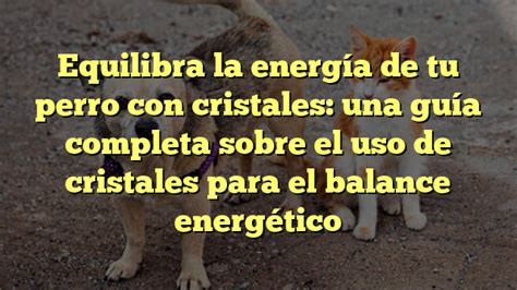 Equilibra La Energía De Tu Perro Con Cristales Una Guía Completa Sobre