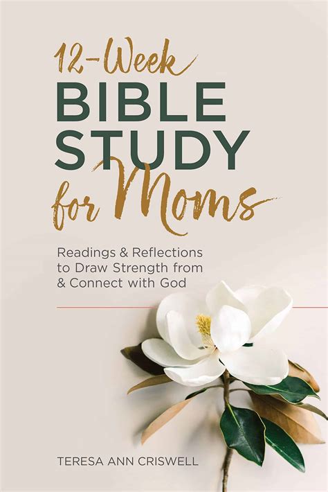 The Best Bible Study Books For Women Christel Owoo