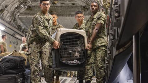 Melissa strengthens into Earth's strongest hurricane winds of 2025