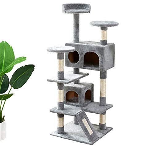 Top 10 Best Cat Trees for Ragdolls (with Reviews)