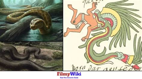 The Strange Giant Yacumama Snake Living in Amazonian Waters - Filmywiki.com