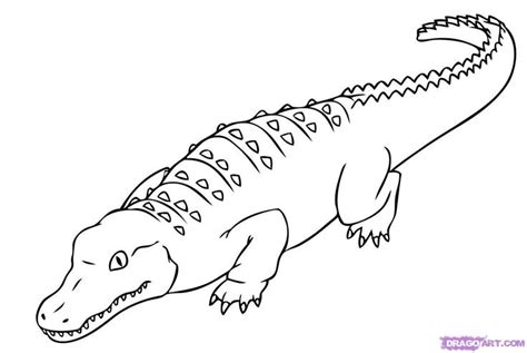 saltwater crocodile - Google Search | Dinosaur coloring pages, Super coloring pages, Coloring ...