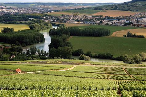 Parc Naturel Régional De La Montagne De Reims