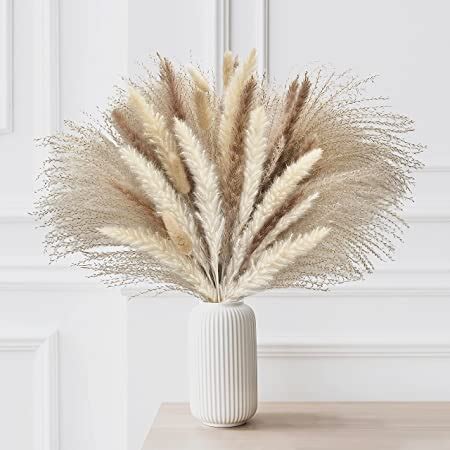 Amazon Pampas Grass Decor 53 PCS Natural Dried Pampas Grass