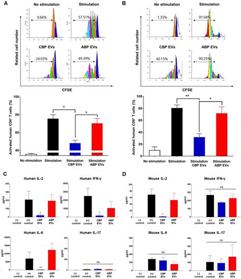 Mouse Cross Reactivity Of T Cell Suppression And IL 2 Downregulation By