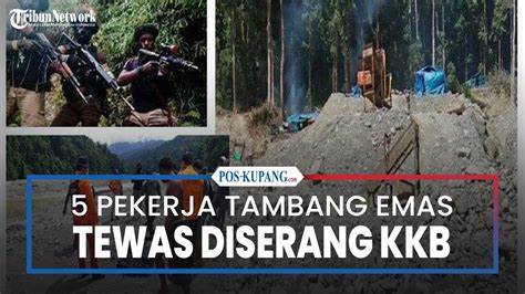 Pekerja Tambang Tradisional Di Papua Tewas Diserang Kkb Youtube