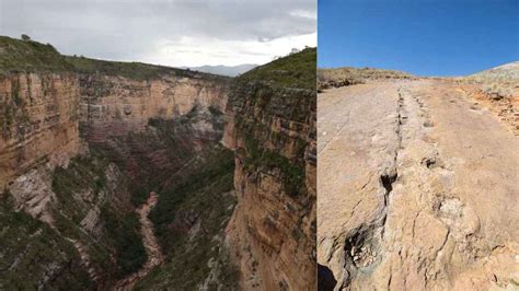 Un Parque Jur Sico En La Vida Real Tiene Huellas De