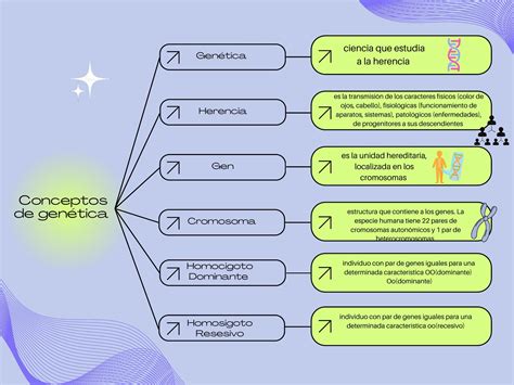 Questão Sobre Genética - Diagrama De Genetica Humana 🔬💜 Reseñas Como Esta Nos Motivan A
